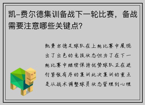 凯-费尔德集训备战下一轮比赛，备战需要注意哪些关键点？